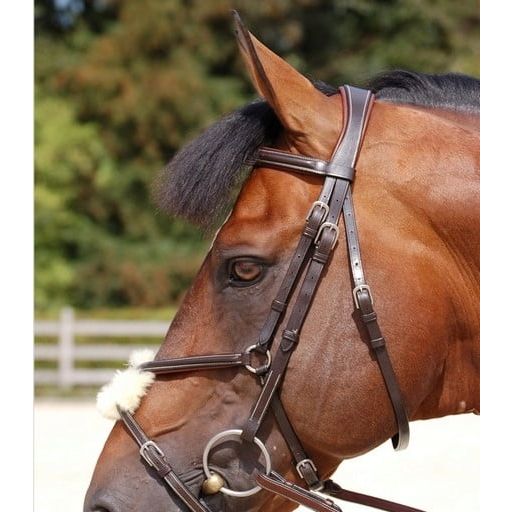 Dy'on Working Collection Fig 8 Noseband Bridle