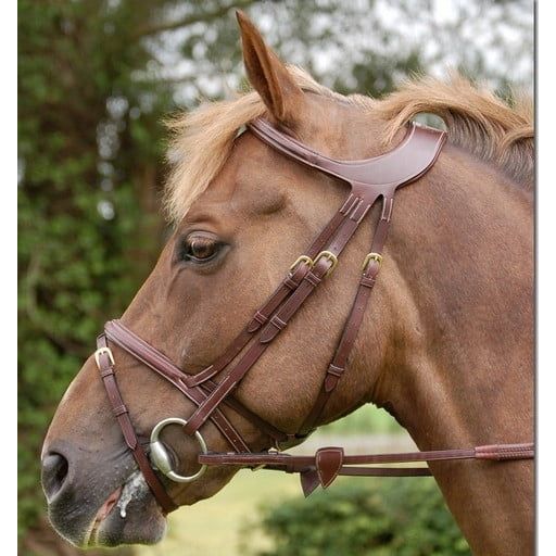 Different Collection Bridle Comb. Noseband Black