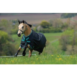 Horseware Ireland Amigo Hero ACY