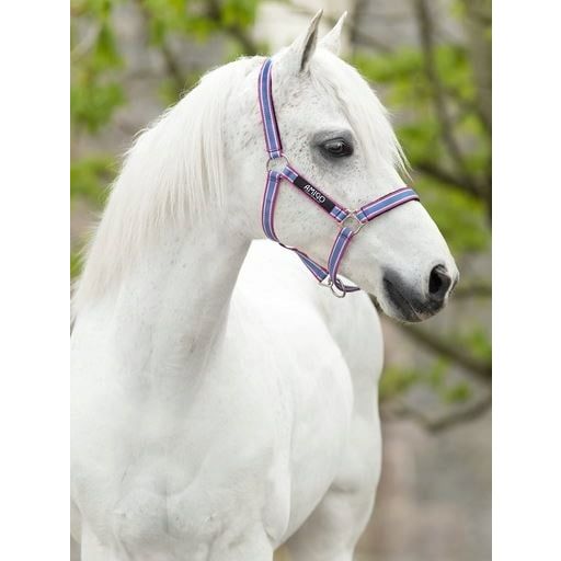 Horseware Ireland Amigo Headcollar Pony