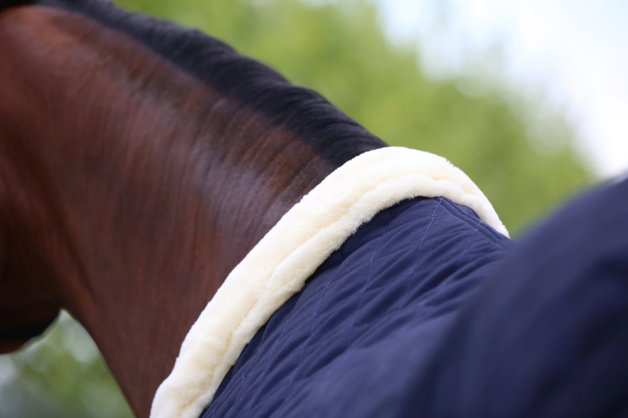 Kentucky Horsewear Попона за турнири тъмносиньо