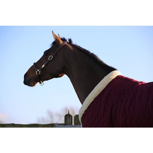 Kentucky Horsewear Licol Cuir de Pansage 