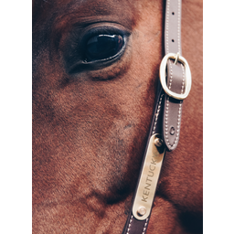Kentucky Horsewear Leder Grooming Halster