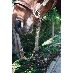 Kentucky Horsewear Žrebčeva veriga, Stallion Chain - 1 k.