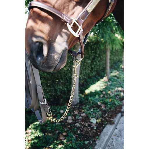 Kentucky Horsewear Chaînette d'Étalon - 1 pcs