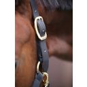 Kentucky Horsewear Control Halter - WB
