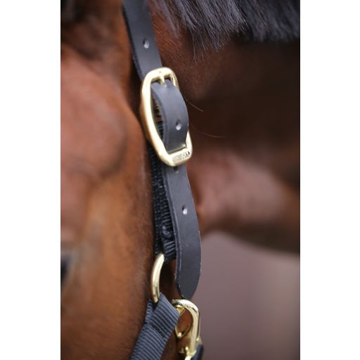 Kentucky Horsewear Controle Halster - Full