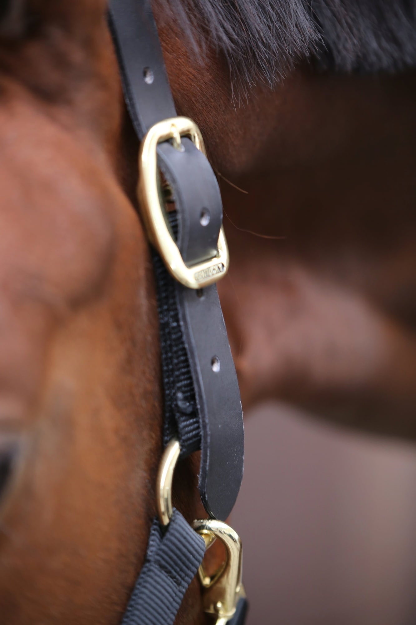 Kentucky Horsewear Юлар 