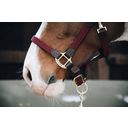 Kentucky Horsewear Plaited Nylon Halter Bordeaux - FULL (standard)