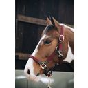 Kentucky Horsewear Plaited Nylon Halter Bordeaux - FULL (standard)