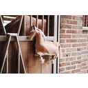Kentucky Horsewear Relax Horse Toy Pony - Marrone chiaro