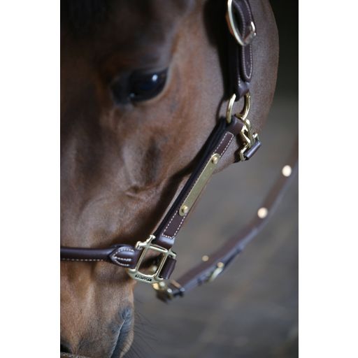 Kentucky Horsewear Anatomische Leder Halster - bruin