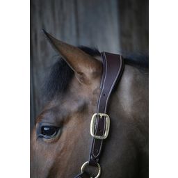 Kentucky Horsewear Anatomic Halter - WB