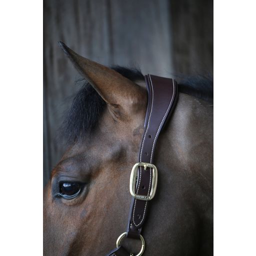 Kentucky Horsewear Lederhalfter 