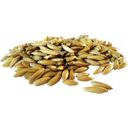 Pavo Cereals Golden Oats - 20 kg