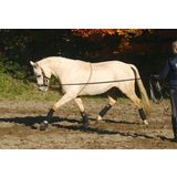 BUSSE Lunging Aid COTTON