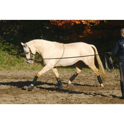 BUSSE Lunging Aid COTTON