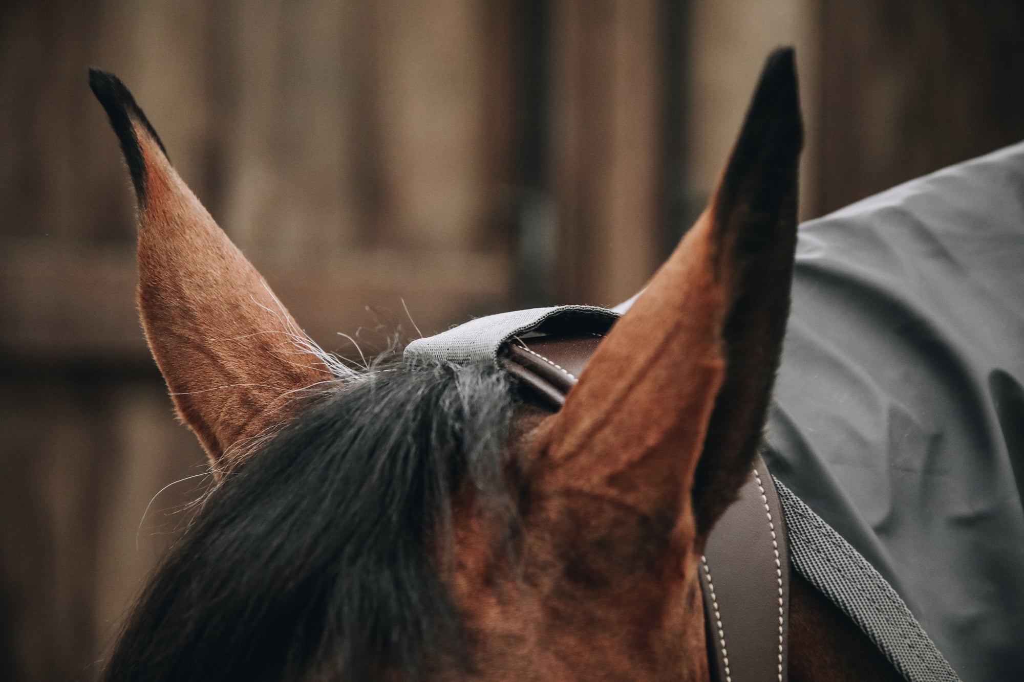 Kentucky Horsewear Попона за дъжд