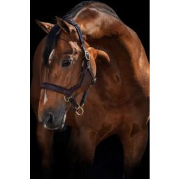 Horseware Ireland Rambo Micklem Headcollar - Brown