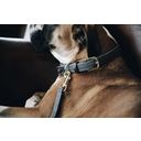 Kentucky Dogwear Plaited Nylon Dog Collar, Grey
