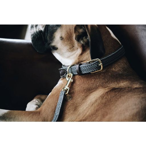 Kentucky Dogwear Geflochtenes Nylon-Hundehalsband grau