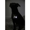 Kentucky Dogwear Dog Head Flashing Light - 1 Pc