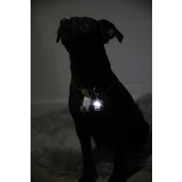 Kentucky Dogwear LED lučka za 