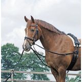 BUSSE Standing Draw-Reins BASIC