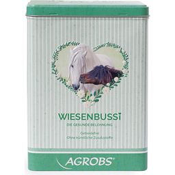Agrobs BussiBox - 1 бр.