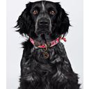 Dog with a Mission Hondenhalsband Boho Pink - 4cm