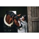 Kentucky Horsewear Show Rug - Black