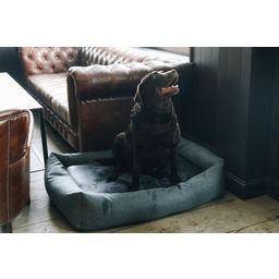 Kentucky Dogwear Dog Bed 