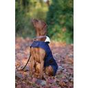 Kentucky Dogwear Dog Coat, Navy