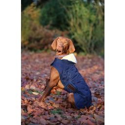 Kentucky Dogwear Derka - kurtka dla psa navy