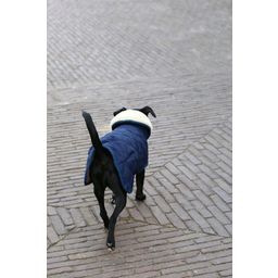 Kentucky Dogwear Abrigo para Perro - Azul Marino