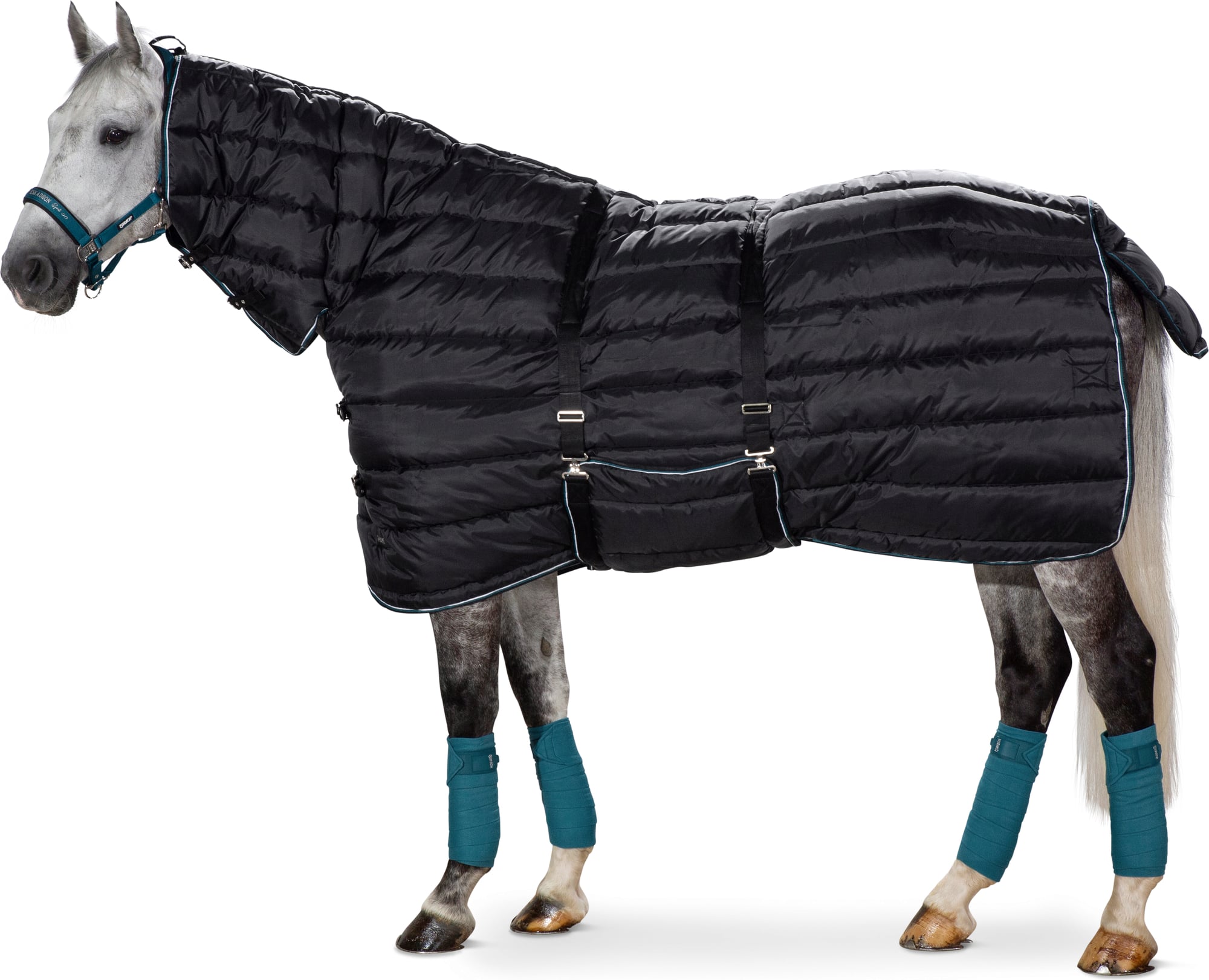 ESKADRON 