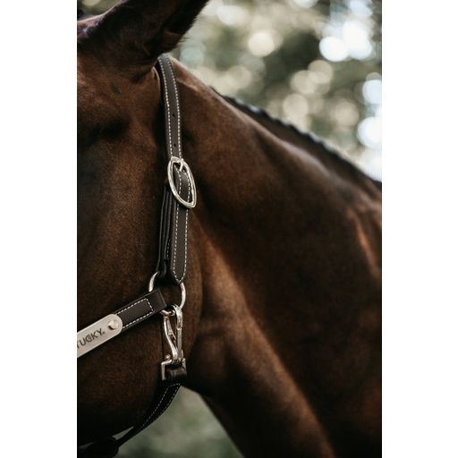 Kentucky Horsewear Leather Halter Flexible