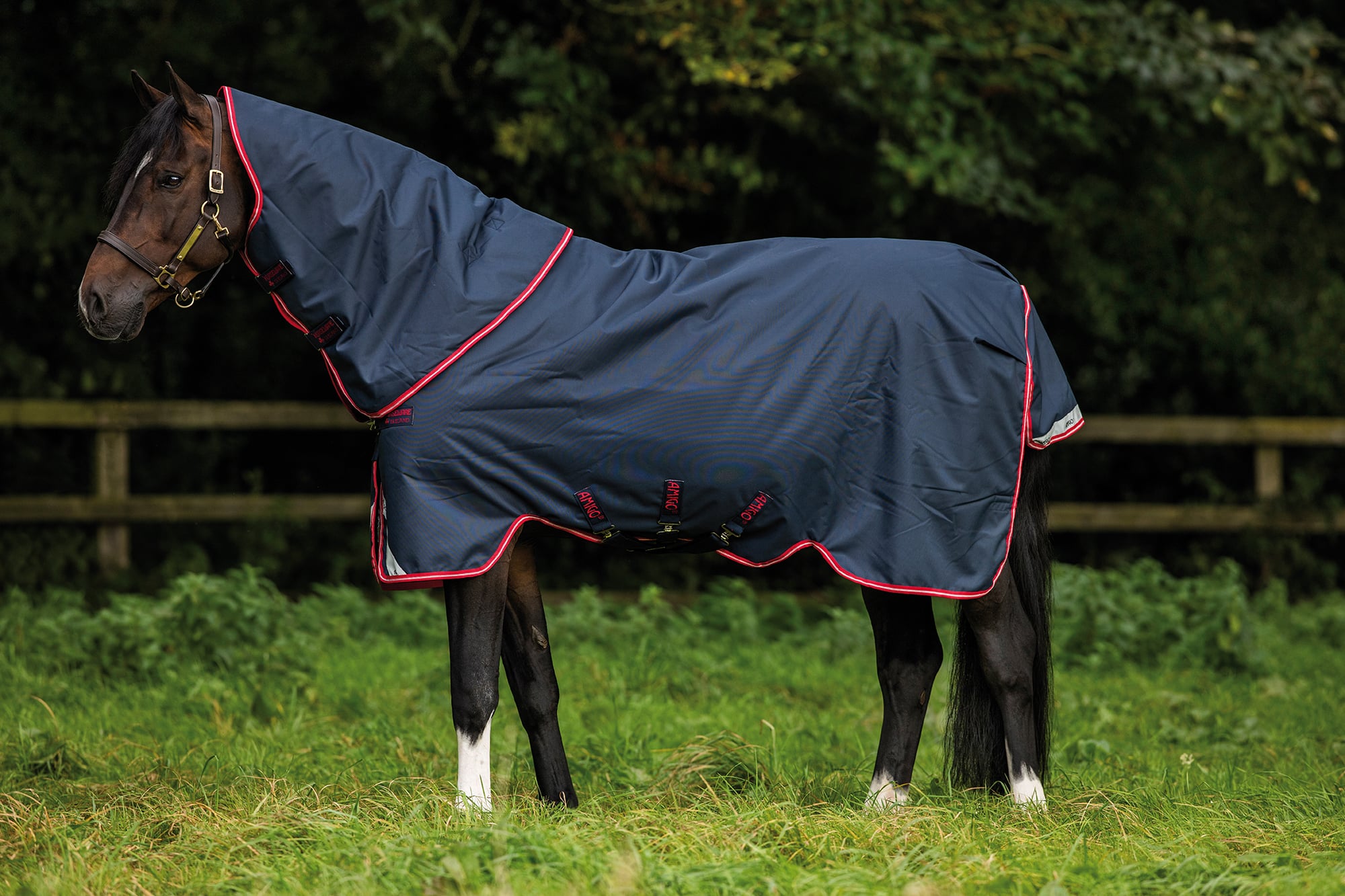 Horseware Ireland Amigo Bravo 12 Plus 250g
