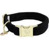 Kentucky Dogwear Collar para Perro "Corduroy" - Negro