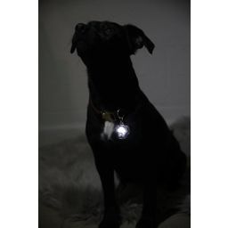Kentucky Dogwear Blinkande Ljus 