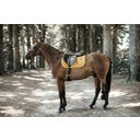 Kentucky Horsewear Spring-Schabracke 