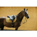 Kentucky Horsewear Spring-Schabracke 