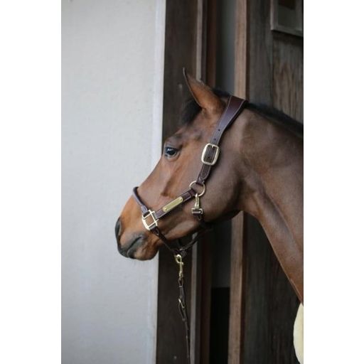 Kentucky Horsewear Анатомичен велурен юлар, кафяв