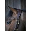 Kentucky Horsewear Anatomical Suede Halter - Brown