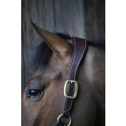 Kentucky Horsewear Anatomic Suede Halter Brown