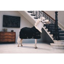 Kentucky Horsewear Showdeken 160g Tiny - zwart