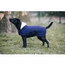 Kentucky Dogwear Dog Coat 