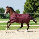 Outdoor Rug 