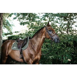 Kentucky Horsewear Springschabracke 