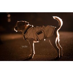 Dog Coat Reflective & Water Repellent, Silver